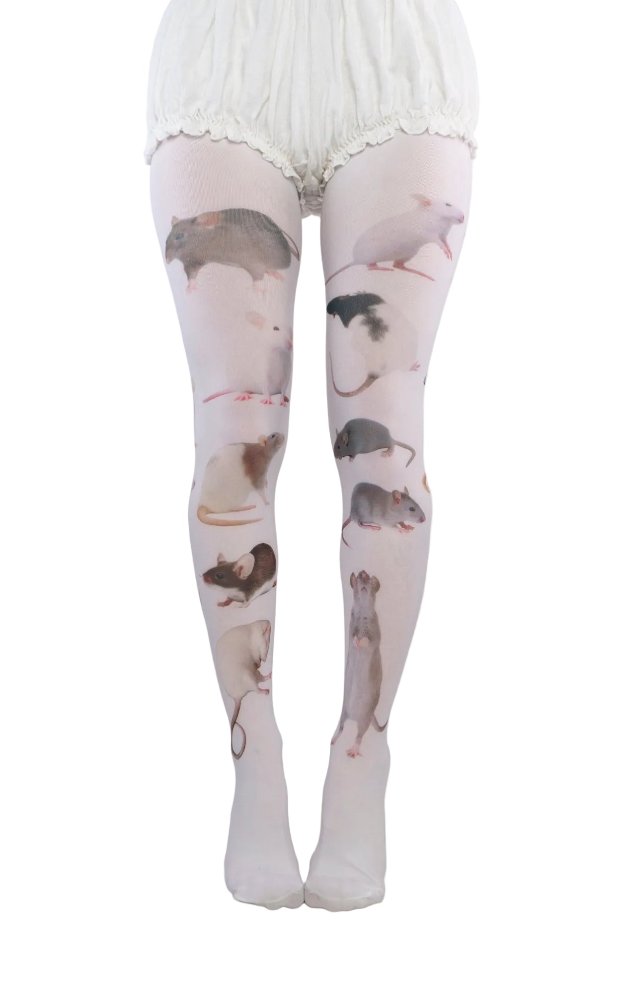 Rat Tights